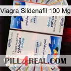 Viagra Sildenafil 100Mg kamagra1